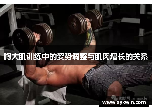 胸大肌训练中的姿势调整与肌肉增长的关系