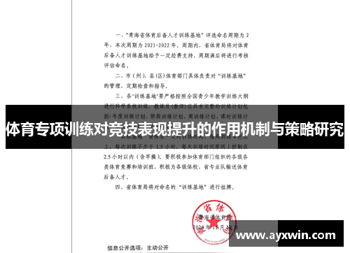 体育专项训练对竞技表现提升的作用机制与策略研究